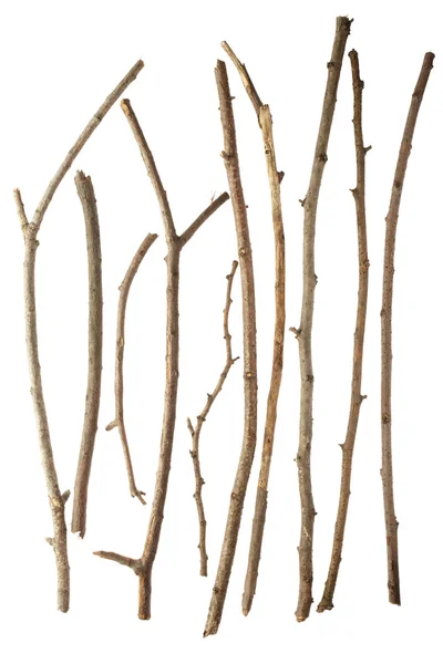 Tyčinky a větvičky na bílém — Stock fotografie