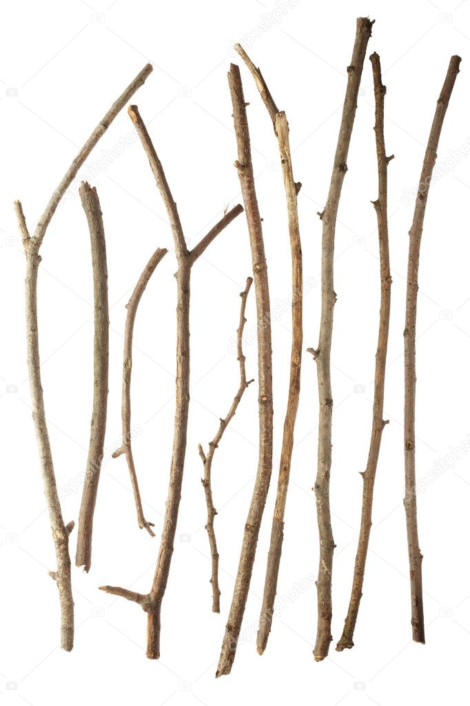 Sticks and twigs on white