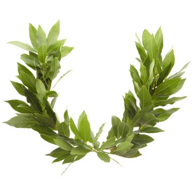 Laurel wreath clipart