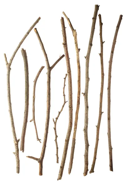 ᐈ Twigs Stock Images, Royalty Free Twigs Photos 