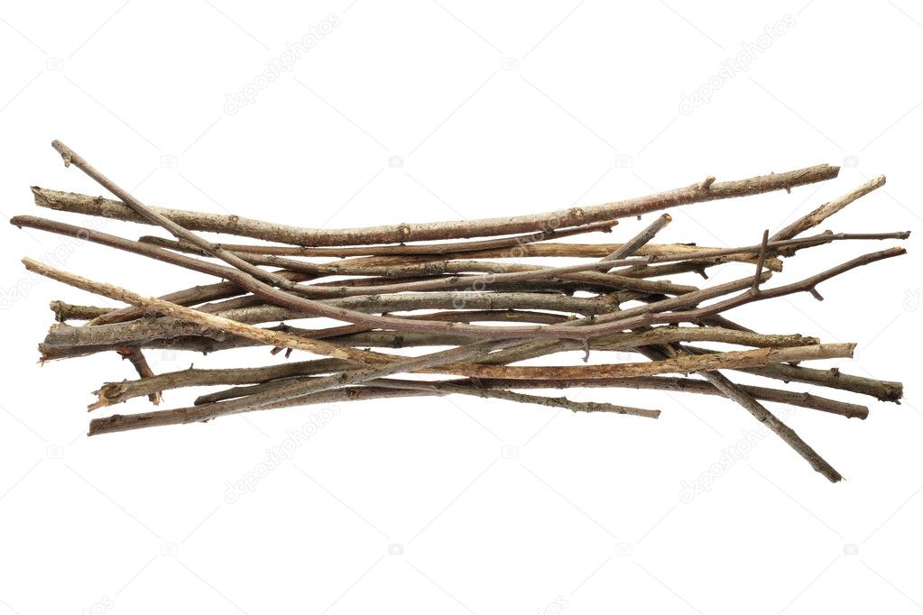 Sticks and twigs, wood bundle