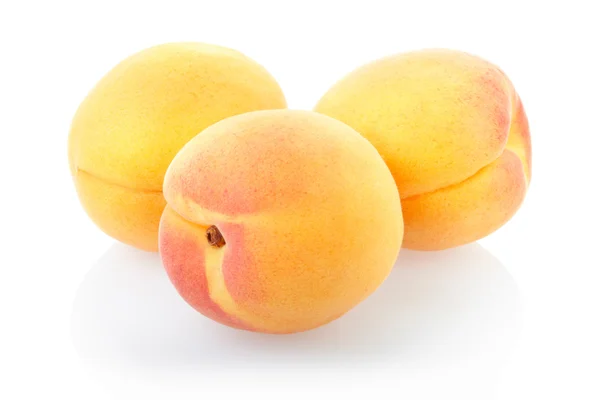 Fruits d'abricot — Photo