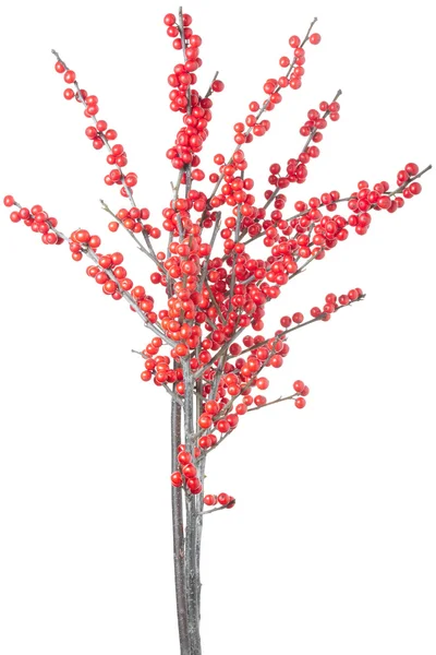 Karácsonyi ág vörös bogyókkal — Stock Fotó