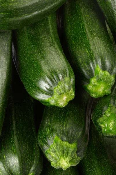 Zucchini background — Stock Photo, Image