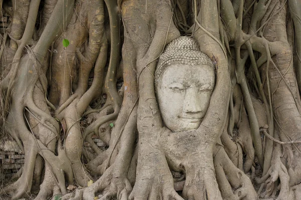 Starożytne głowy buddyzmu — Zdjęcie stockowe