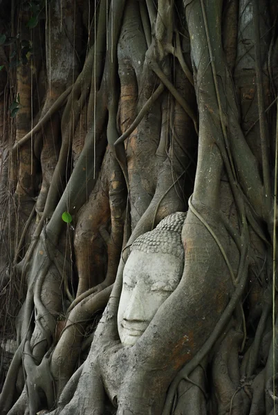 Ancient Buddhism head — Stock Photo, Image