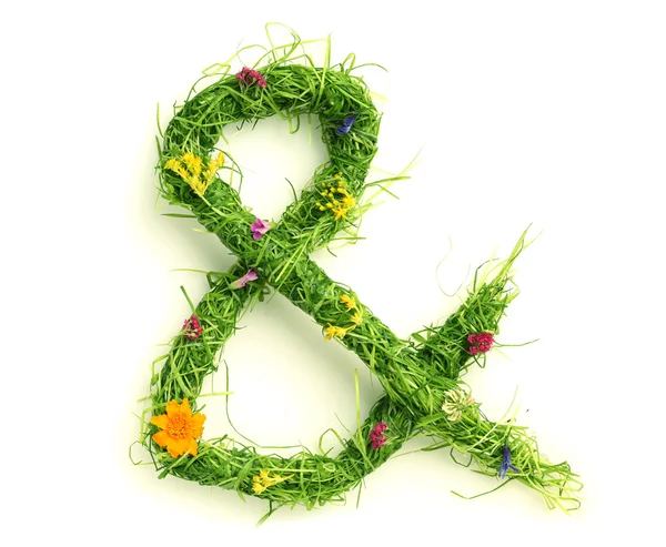 Ampersand feito de flores e grama — Fotografia de Stock