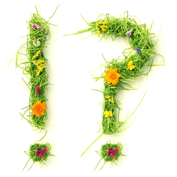 Ponto de interrogação & ponto de exclamação feito de flores e grama — Fotografia de Stock