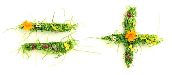 Symboler av blommor och gräs — Stockfoto