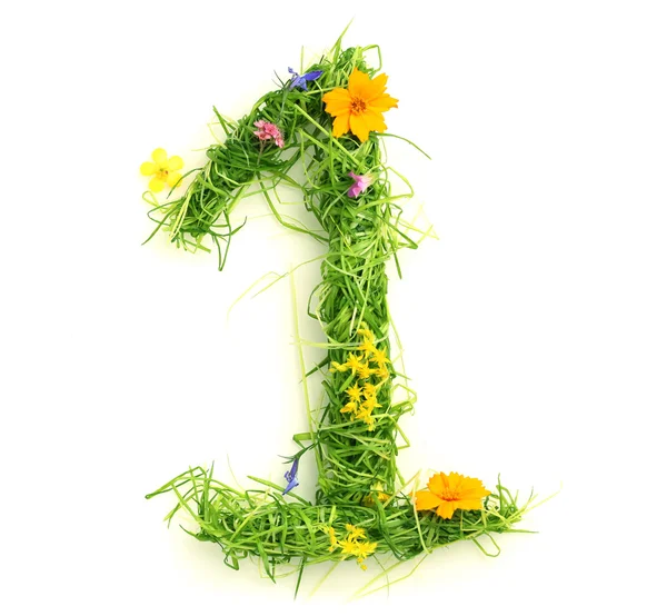 Numbers made of flowers and grass — Stock Photo, Image