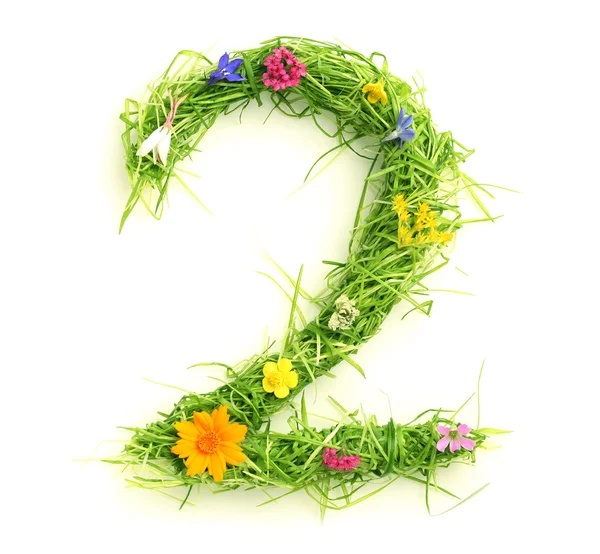 Nummer av blommor och gräs — Stockfoto