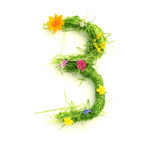 Nummer av blommor och gräs — Stockfoto