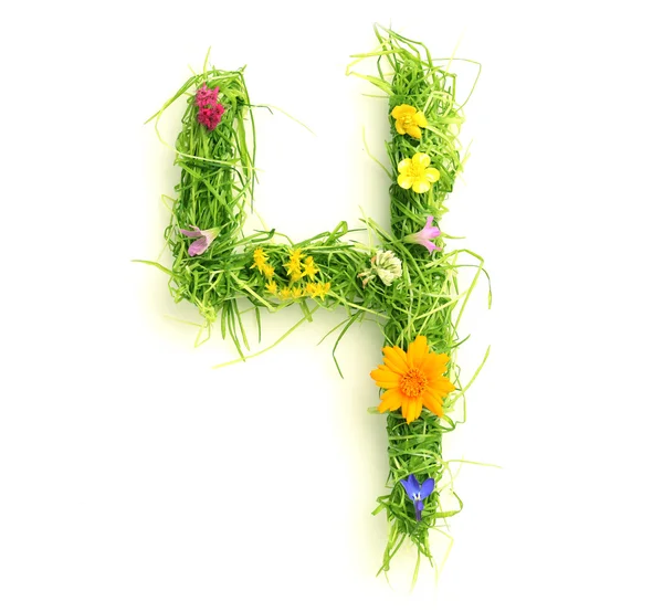 花や草で作られた番号 — ストック写真