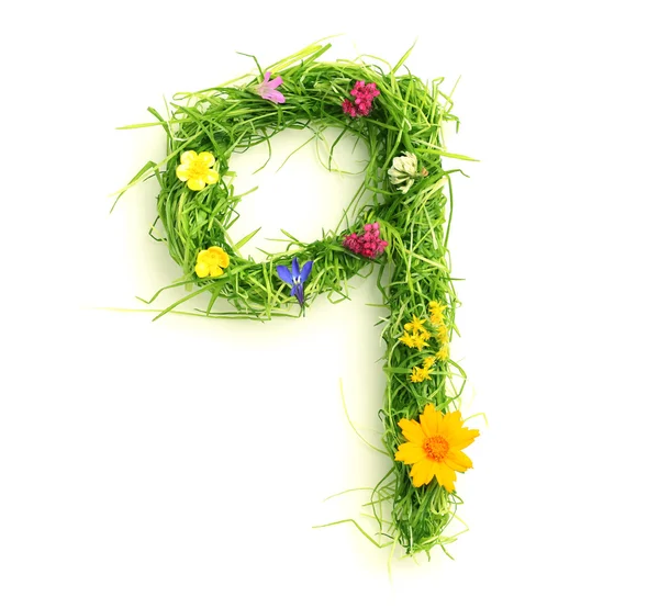 Números hechos de flores y hierba — Foto de Stock
