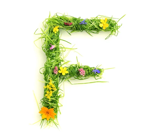Levelek, virágok és a fű — Stock Fotó