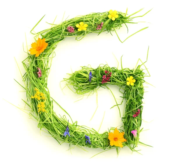 Buchstaben aus Blumen und Gras — Stockfoto