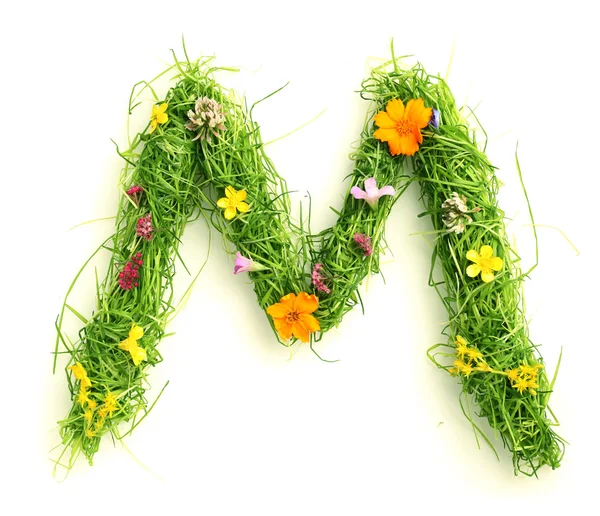 Çim ve çiçek harfler — Stok fotoğraf