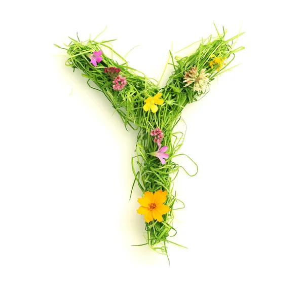 Litery wykonane z kwiatów i traw — Zdjęcie stockowe