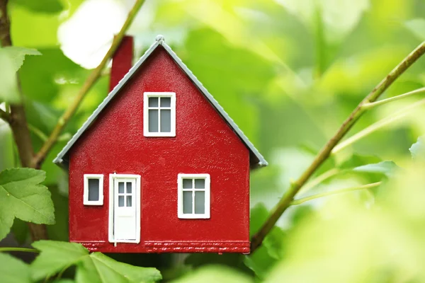 House in the trees — Stock Photo, Image