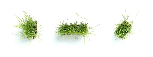 잔디-마침표, 쉼표, 대시 기호 만든 — 스톡 사진