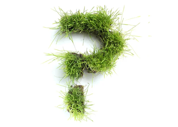 Symbolen gemaakt van grass - vraagteken — Stockfoto