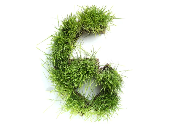 Numbers made of grass - 6 — Stock Photo, Image