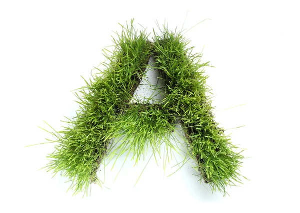 Cartas hechas de hierba - A — Foto de Stock