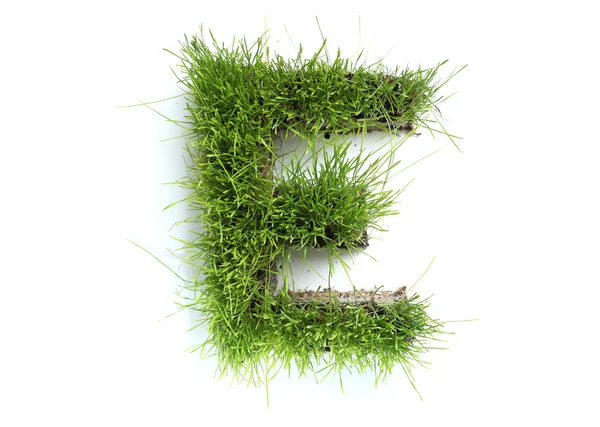 Cartas hechas de hierba - E — Foto de Stock