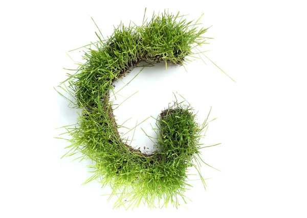 Buchstaben aus Gras - g — Stockfoto