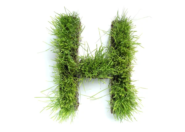 Litery wykonane z trawy - h — Zdjęcie stockowe