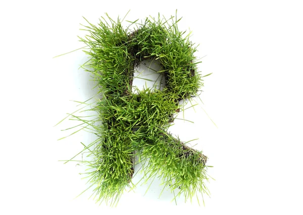 Cartas hechas de hierba - R — Foto de Stock