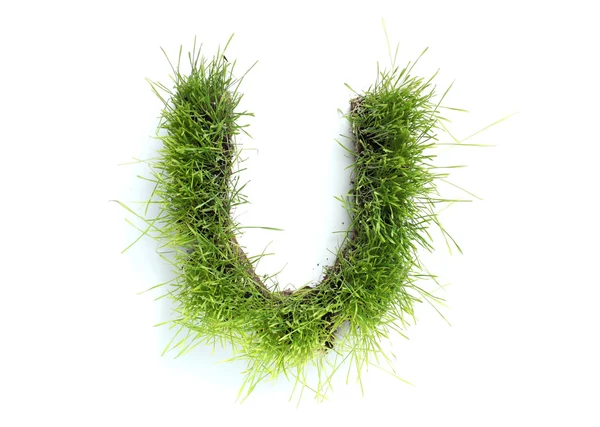 Cartas hechas de hierba - U — Foto de Stock