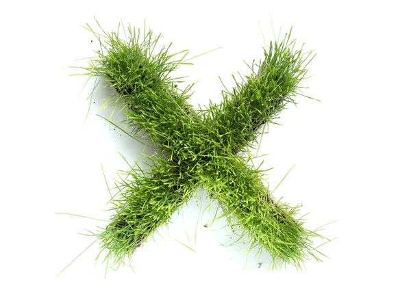 Cartas hechas de hierba - X —  Fotos de Stock
