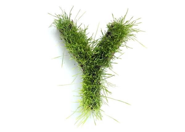 Cartas hechas de hierba - Y — Foto de Stock