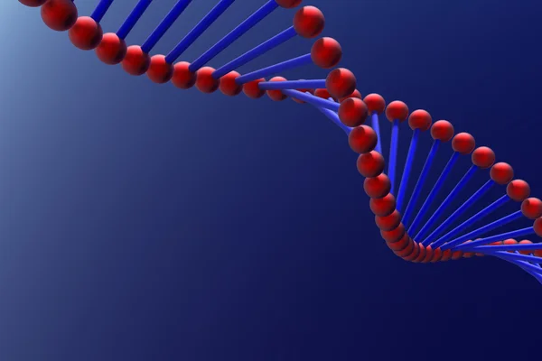 ДНК - 3d рендеринг — стоковое фото