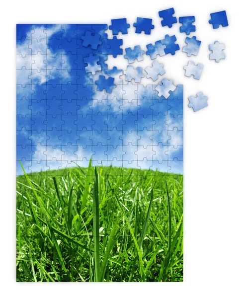 stock image Blue & green grass puzzle