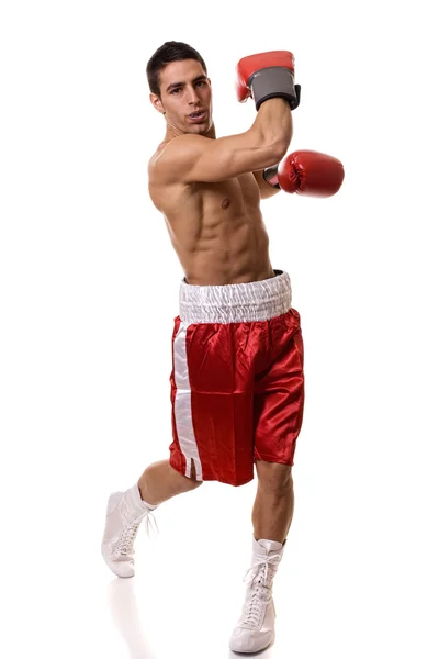 Boxeador — Foto de Stock
