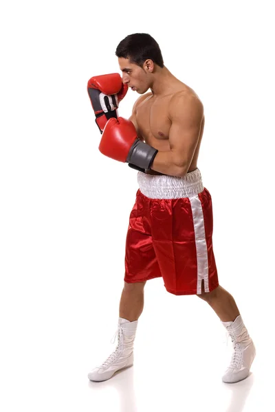 Boxer — Stock Photo, Image