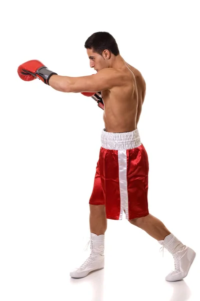 Boxer — Stock Photo, Image