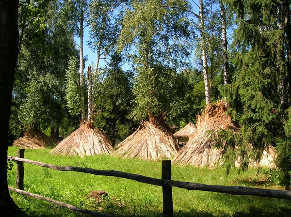 Grüner Park in Ukriane — Stockfoto