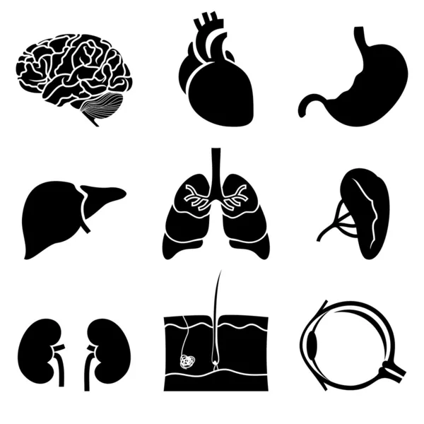 stock vector Anatomical icons