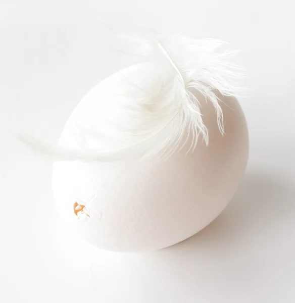 Яйцо и перо . — стоковое фото