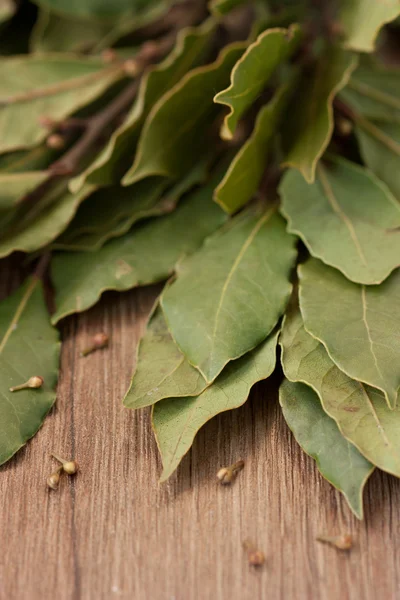 Laurel leaves. — Stock Photo, Image