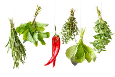 Herbs. clipart