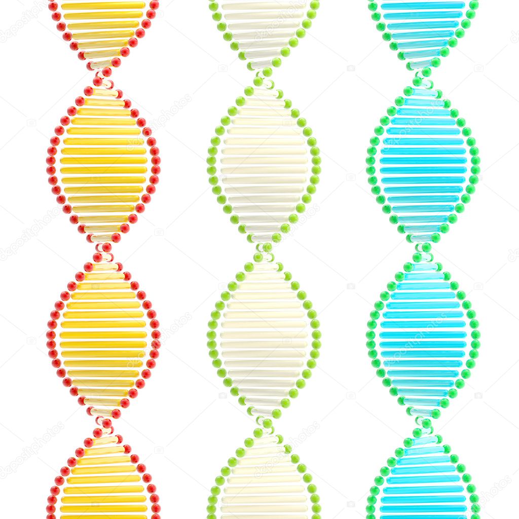 Stylized structure of the DNA isolated