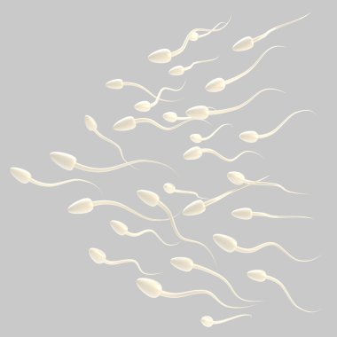 grup izole spermatozoon