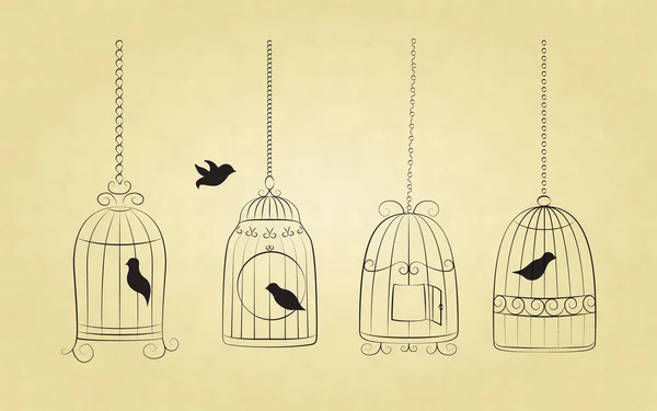 Fåglar i burar — Stock vektor