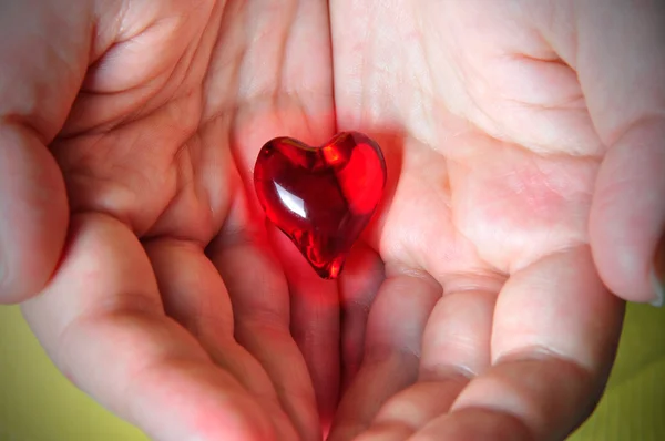 Srdce v rukou — Stock fotografie