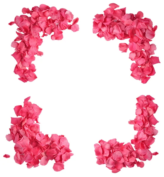 stock image Rose Petal Frame