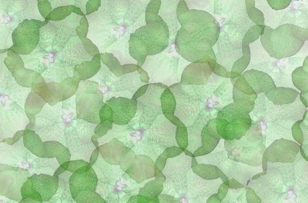 Grüne Blume Tapete — Stockfoto